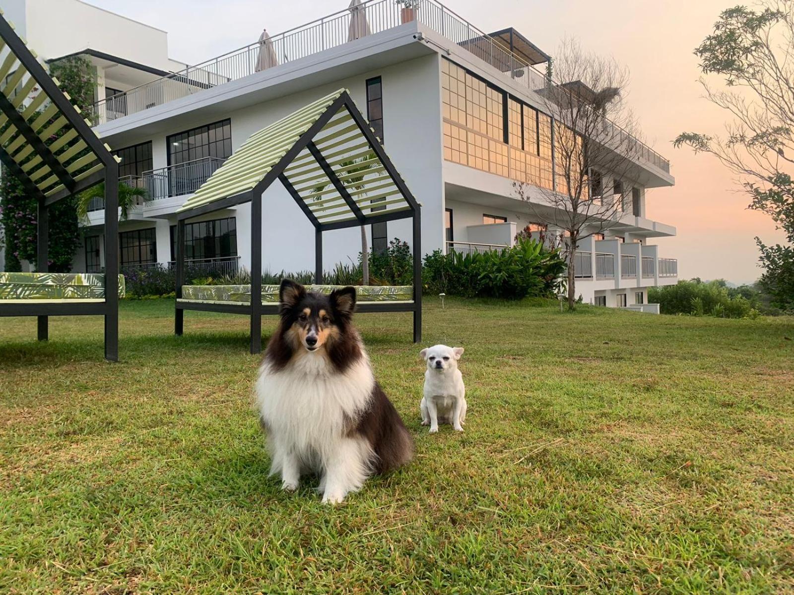 Hotel Arboreo Doradal ภายนอก รูปภาพ